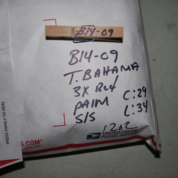 Tommy Bahama Linen Blend L/S Button Up Shirt Men's Size 2XL Blue Stripe EUC - Picture 7 of 7